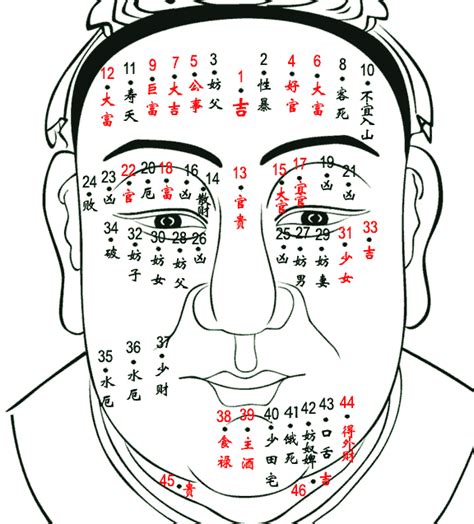 生肖相衝 痣 面向